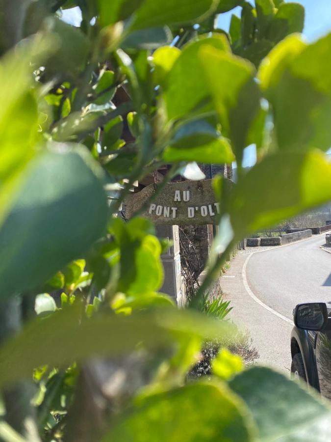 Au Pont D'Olt Otel Saint-Côme-dʼOlt Dış mekan fotoğraf