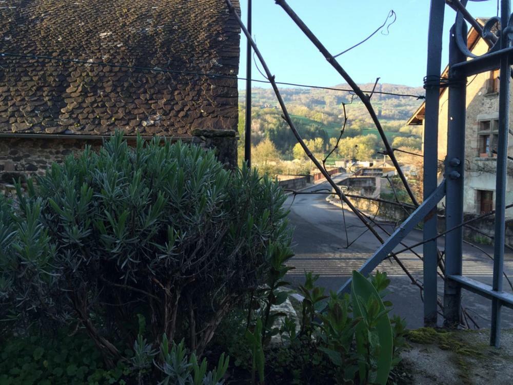 Au Pont D'Olt Otel Saint-Côme-dʼOlt Dış mekan fotoğraf