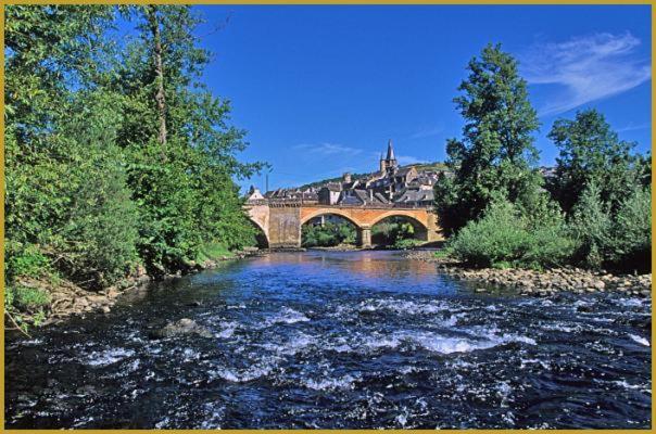 Au Pont D'Olt Otel Saint-Côme-dʼOlt Dış mekan fotoğraf